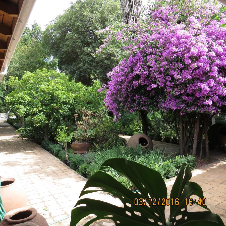 Hotel Boutique Quinta Maria 산타크루스 외부 사진