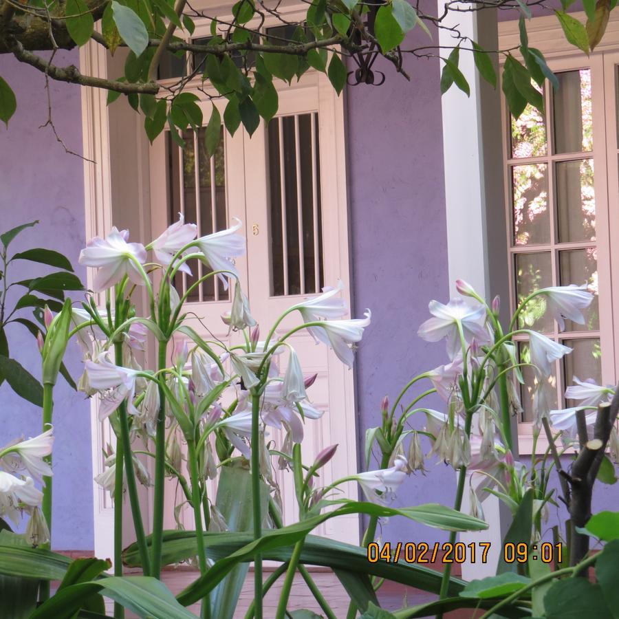 Hotel Boutique Quinta Maria 산타크루스 외부 사진
