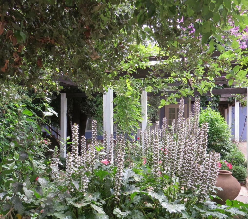 Hotel Boutique Quinta Maria 산타크루스 외부 사진